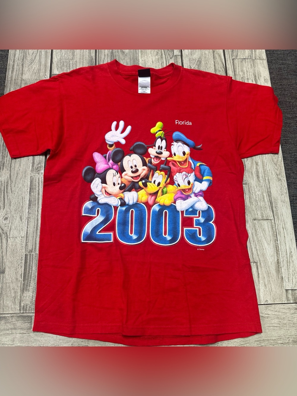 VTG 2003 Disney Mickey Mouse And Friends Graphic Tee Large Red Florida